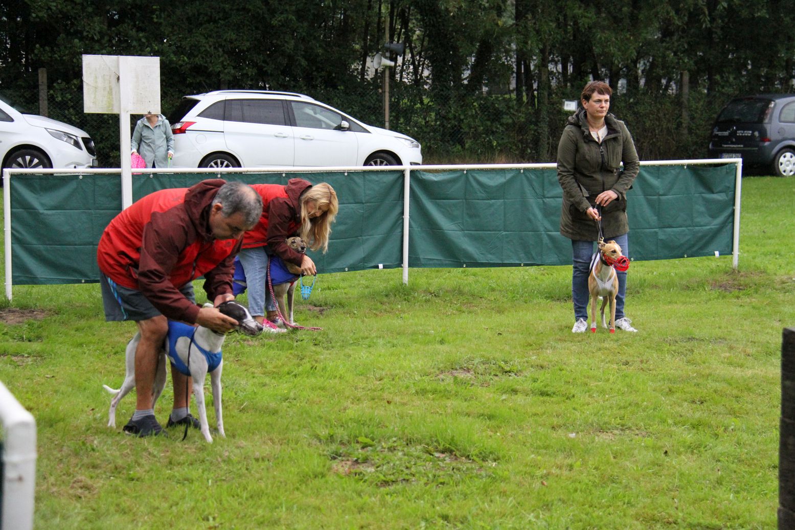 Impressionen Vom Derby Norddeutscher Windhund Rennverein E V